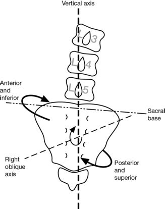 si anterior torsion test|anterior sacral torsion.